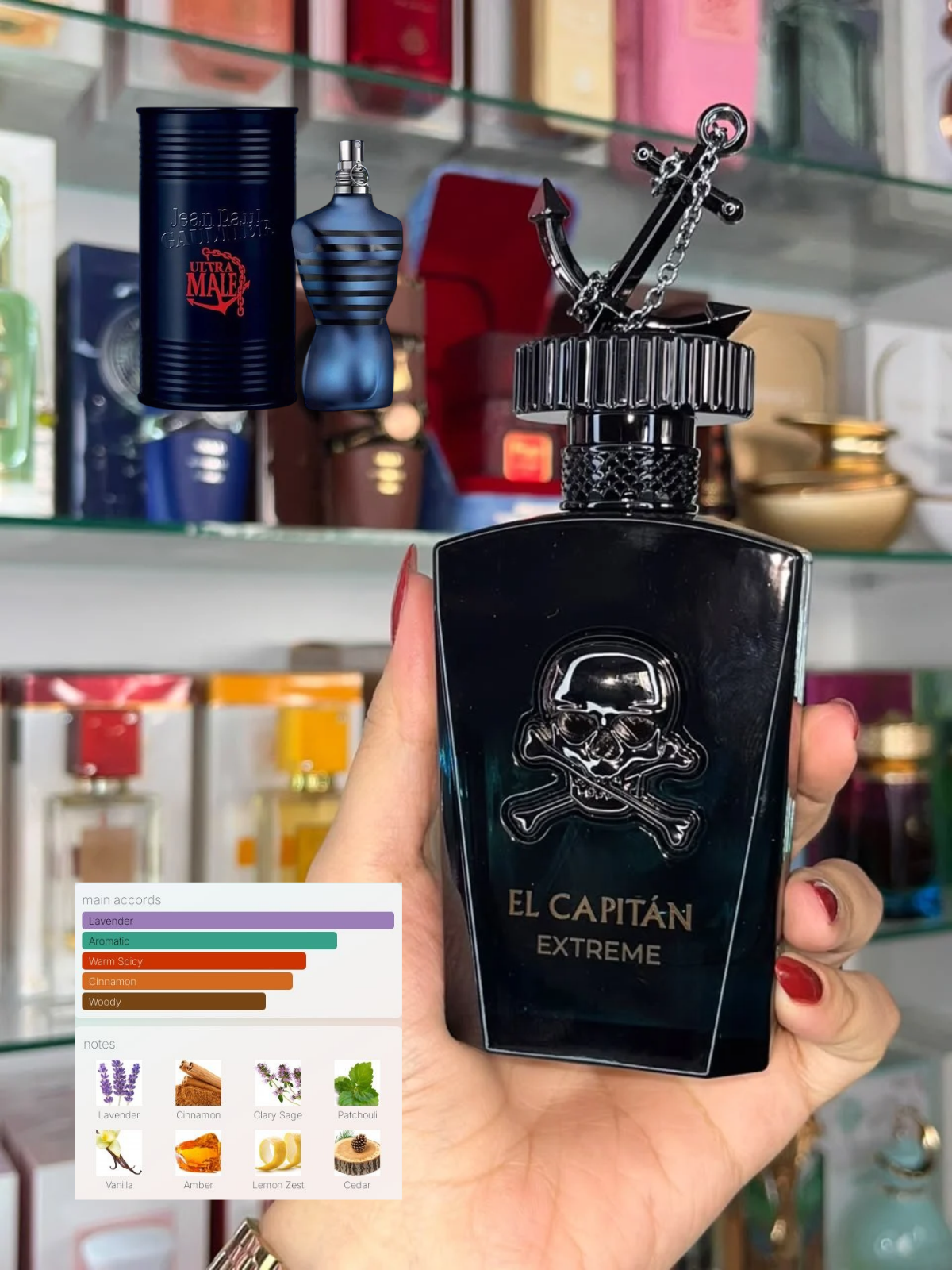 Gulf Orchid El Capitan Extreme Eau de Parfum 100 ml