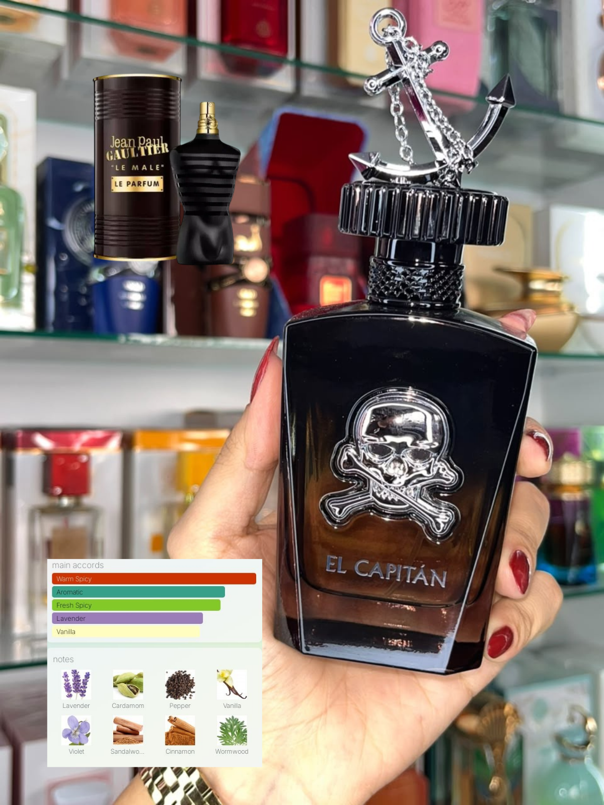 Gulf Orchid El Capitan Eau de Parfum Homme 100 ml
